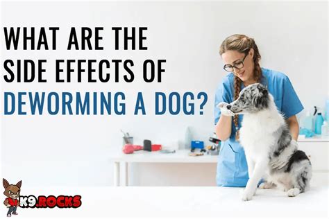 As with so many things <b>dog</b> <b>cancer</b>, the answer is not clear-cut. . Dog dewormer for cancer side effects